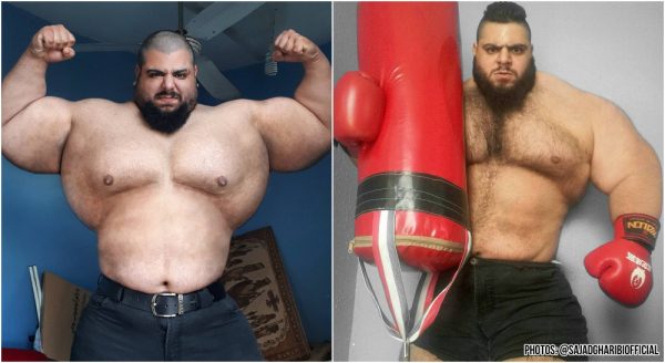 The Iranian Hulk @sajadgharibiofficial Bare-knuckle Fighting Championship