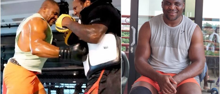 Francis Ngannou MMA UFC MMAnytt