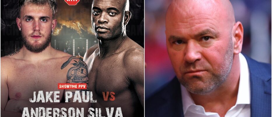 Jake Paul Anderson Silva Dana White (USA Today Sports)