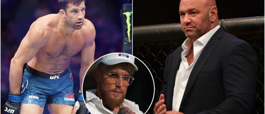 MMAnytt Dana White Luke Rockhold Jake Paul