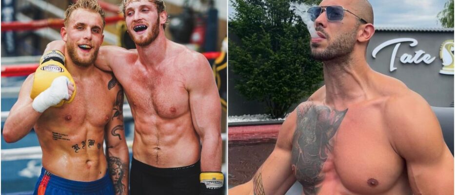 MMAnytt Jake Paul Logan Paul Andrew Tate