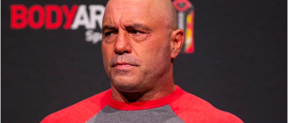 MMAnytt Joe Rogan