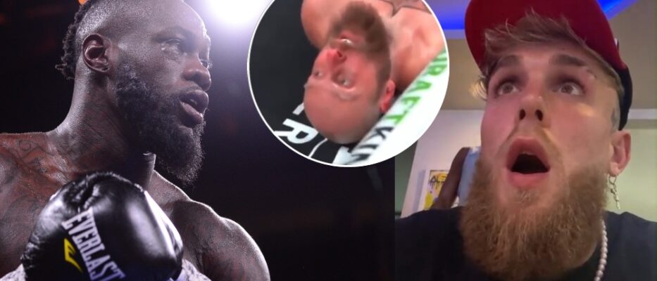 Deontay Wilder knockout