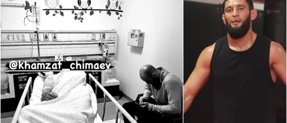 khamzat chimaev